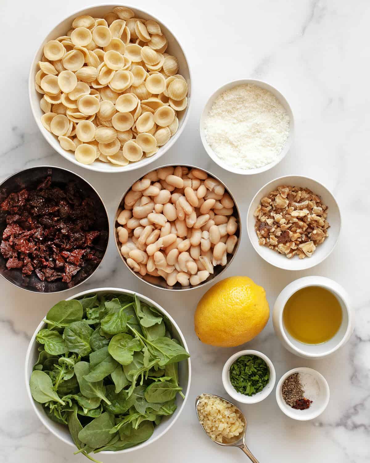 Ingredients including orecchiette, sun-dried tomatoes, cannellini beans, pecorino, walnuts, baby greens, seasonings, lemon and olive oil.