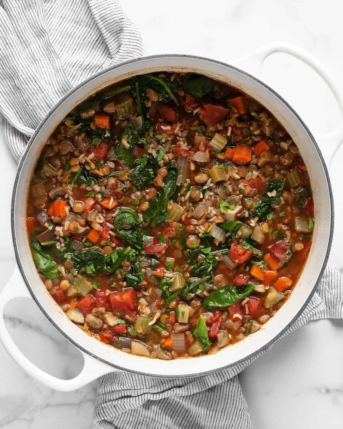 Large pot with lentil wild rice soup.