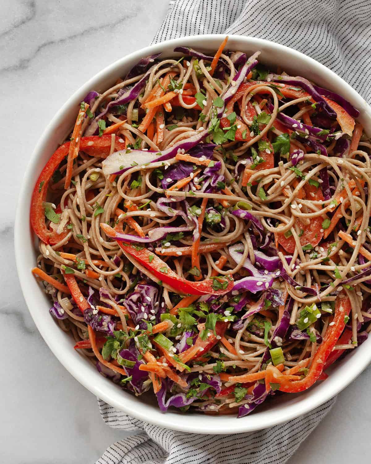 Soba Chicken Noodle Salad with Ginger Peanut Dressing - Once Upon a Chef