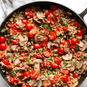 Mushroom tomato farro in a skillet.