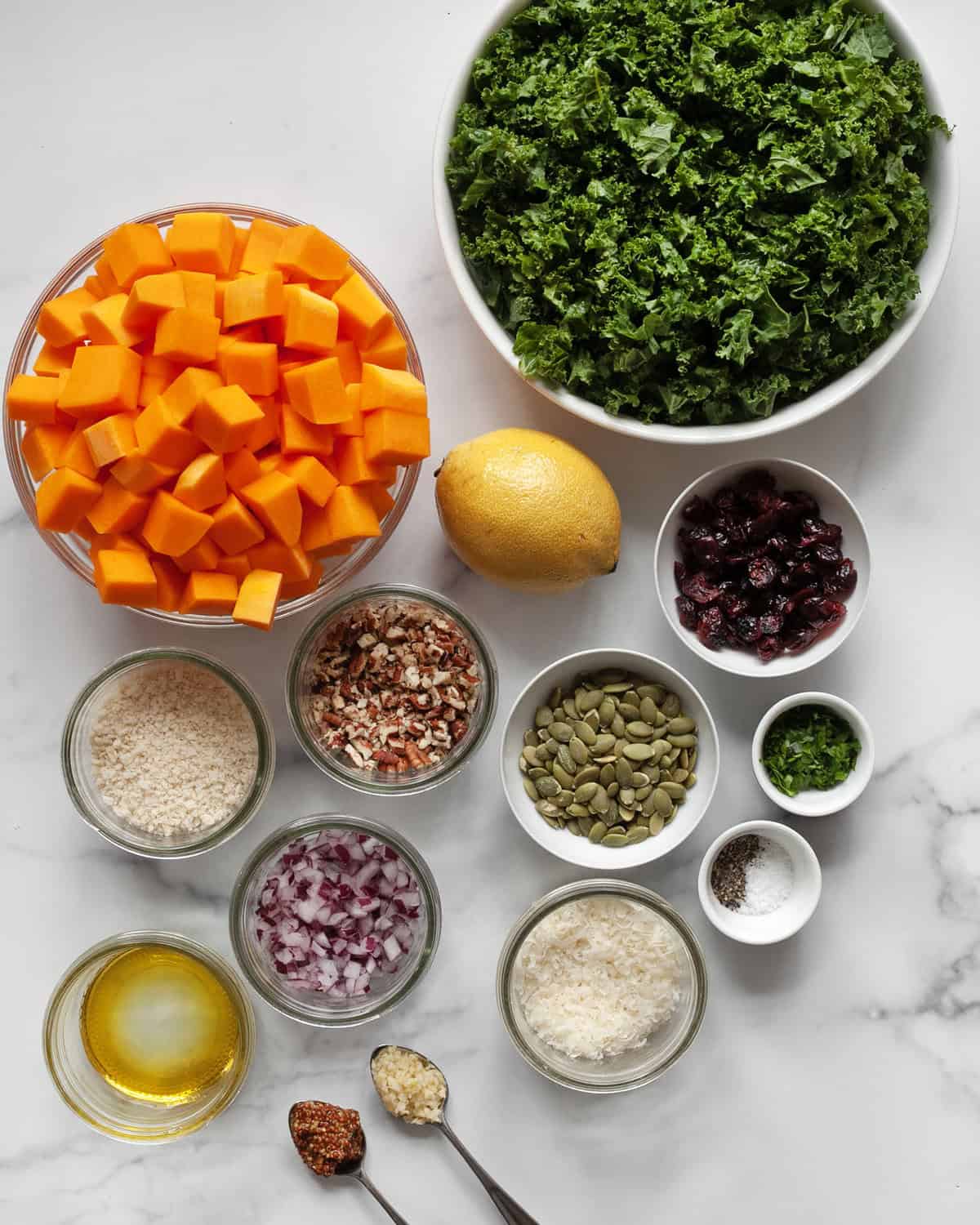 Ingredients including kale, squash, lemon, dried cranberries, red onions, pumpkin seeds, parmesan, olive oil, pecans, panko breadcrumbs, mustard and garlic.