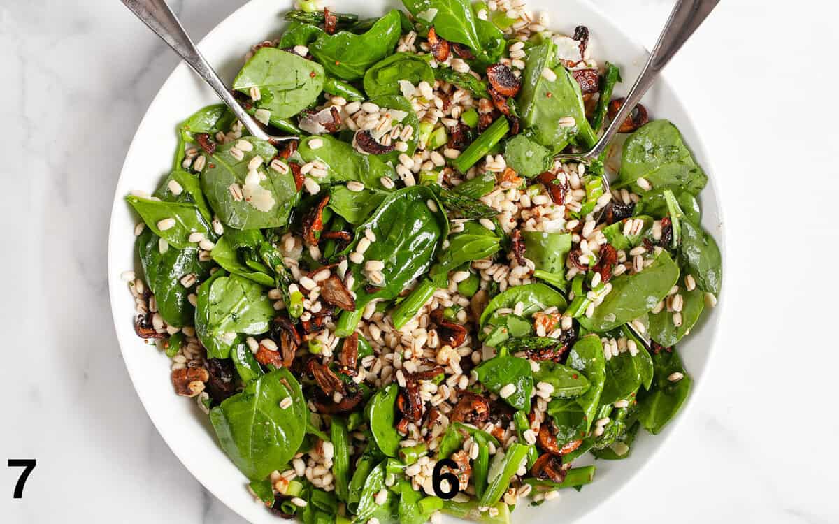 Salad tossed in a large bowl.